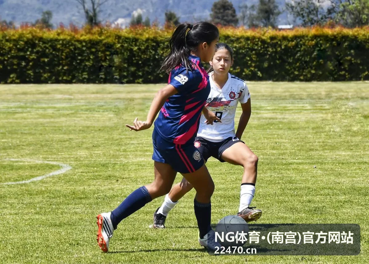 NG体育·(南宫)官方网站赛事训练资讯动态